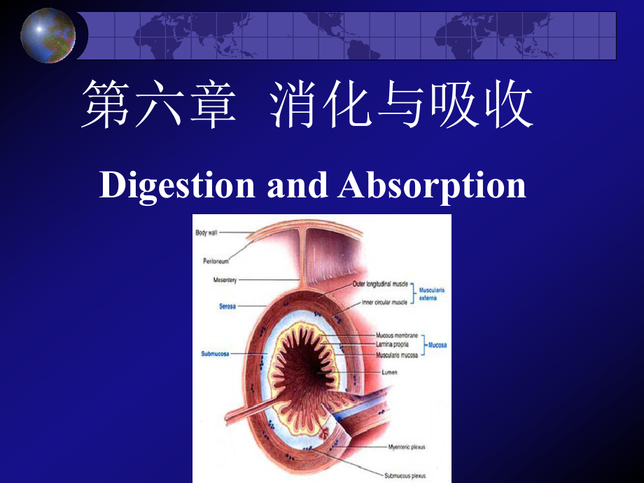 动物生理学第次ppt课件.ppt_第2页