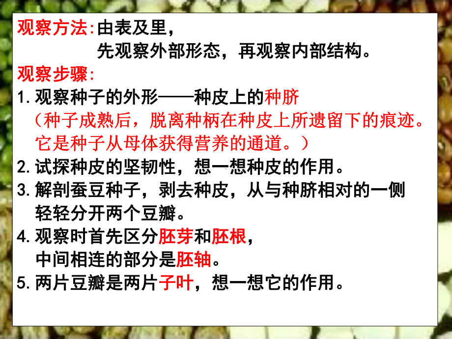 《植物的生长发育》ppt实用课件.ppt_第3页