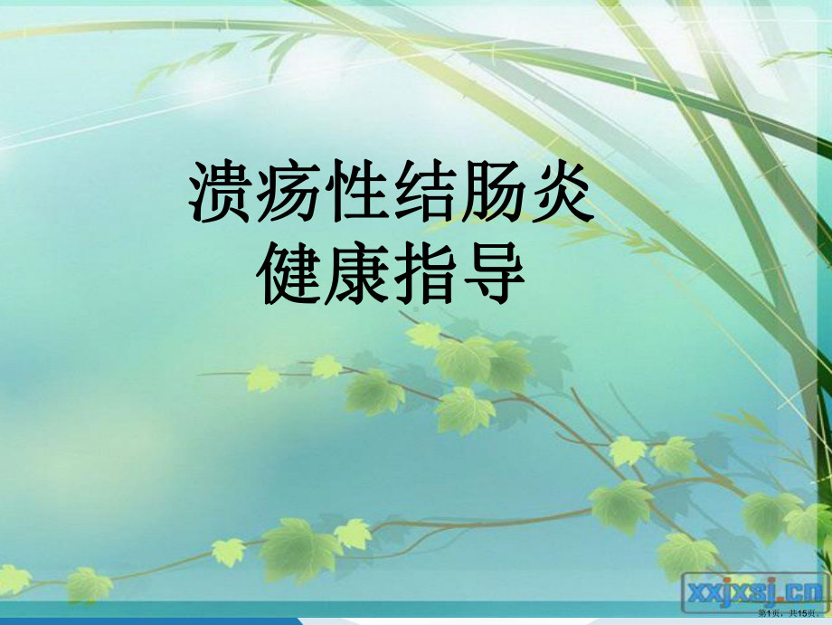 溃疡性结肠炎健康指导-演示文稿课件(PPT 15页).pptx_第1页