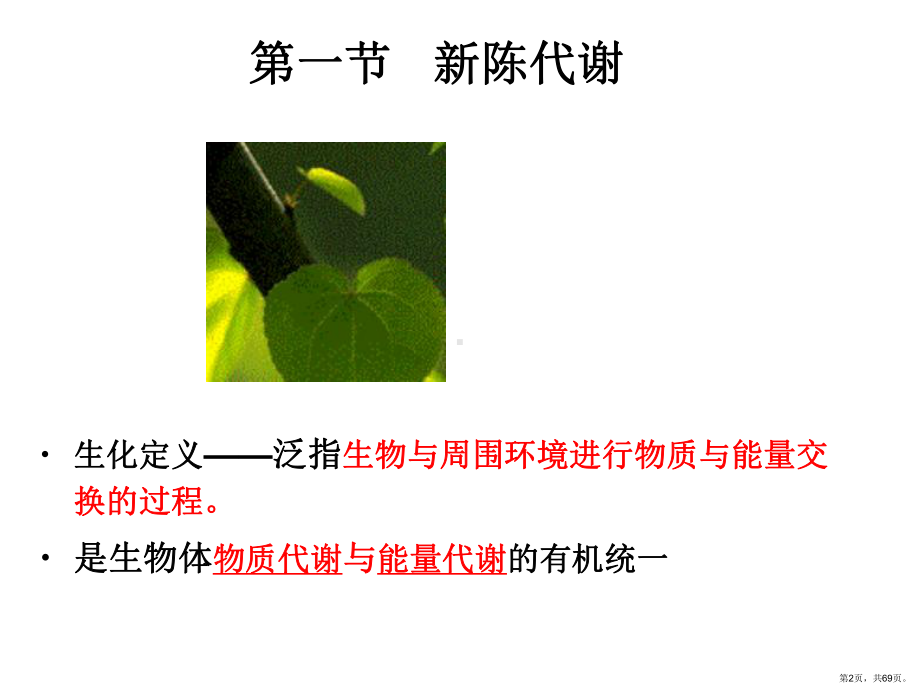 生物氧化和氧化磷酸化课件(PPT 69页).pptx_第2页