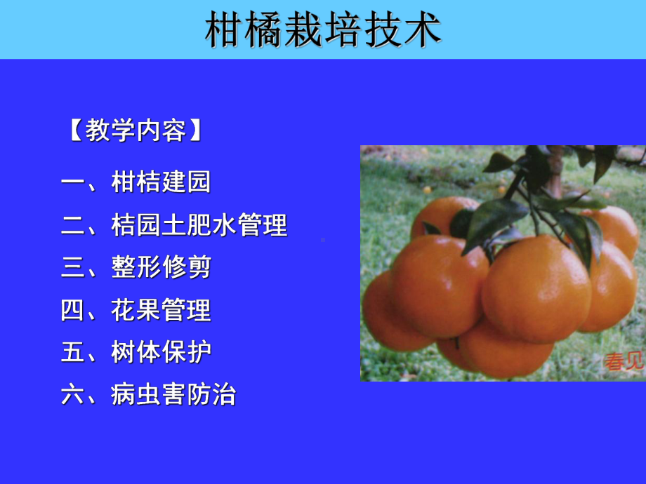 《柑橘栽培技术》PPT课件.ppt_第2页