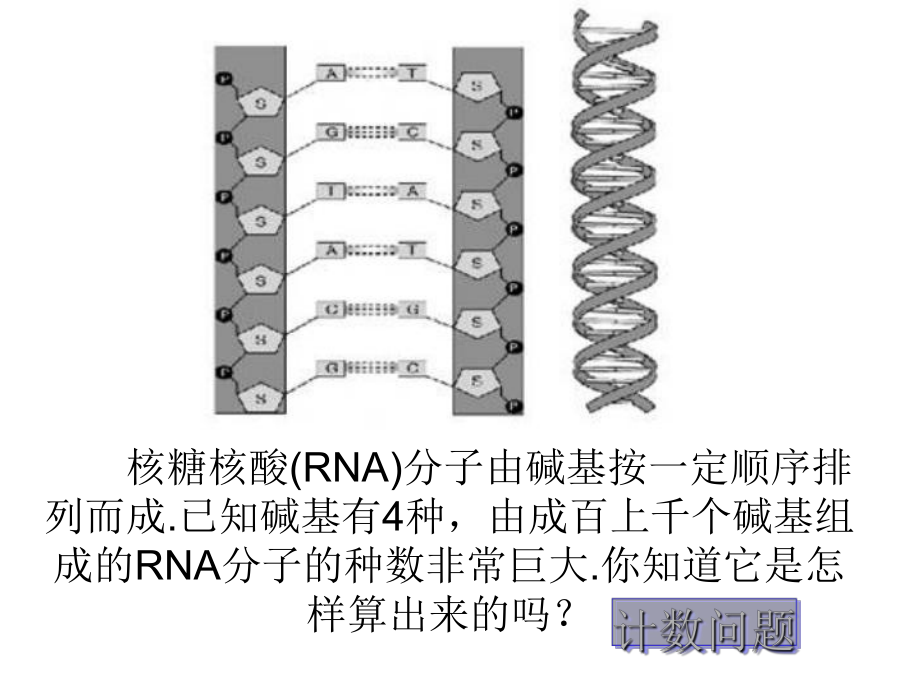 分类加法计数原理与分步乘法计数原理PPT优秀课件16.ppt_第3页