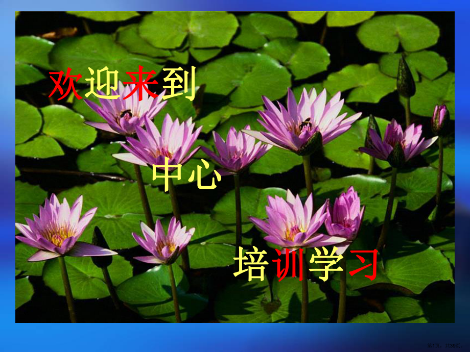 保洁员培训课件.ppt_第1页