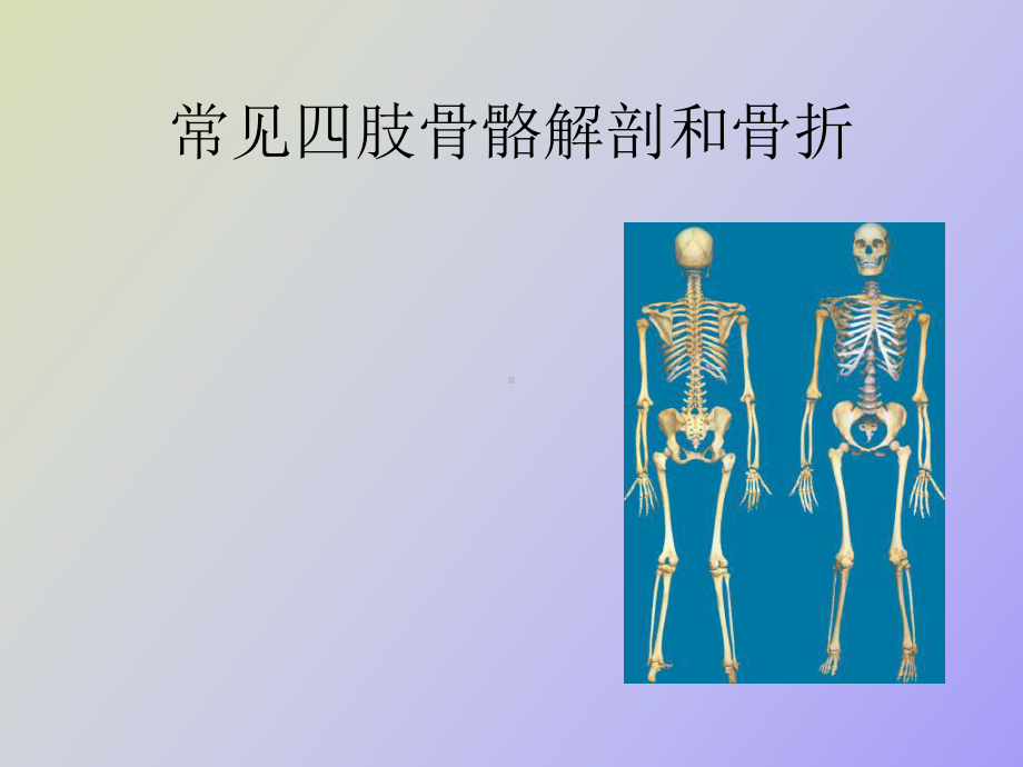 （课件）肢骨骼解剖和骨折.ppt_第1页