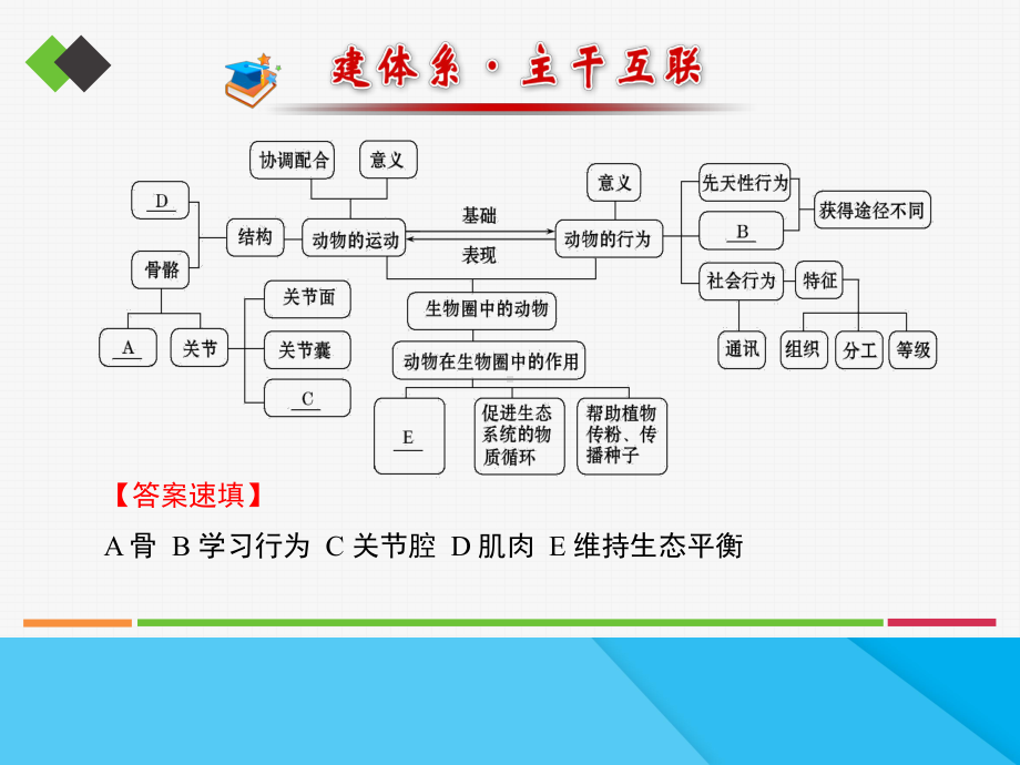 动物的运动和行为复习PPT课件7-人教版优秀课件.ppt_第2页