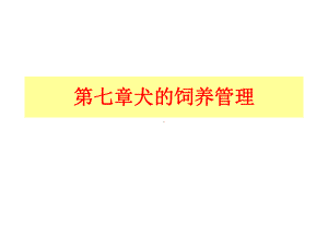 《犬的饲养管理》课件PPT课件.ppt