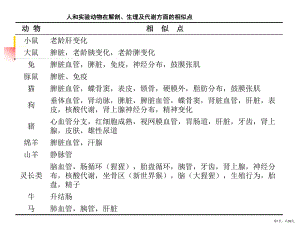 心血管疾病动物模型模型建立主题讲座课件(共39张)(PPT 39页).pptx