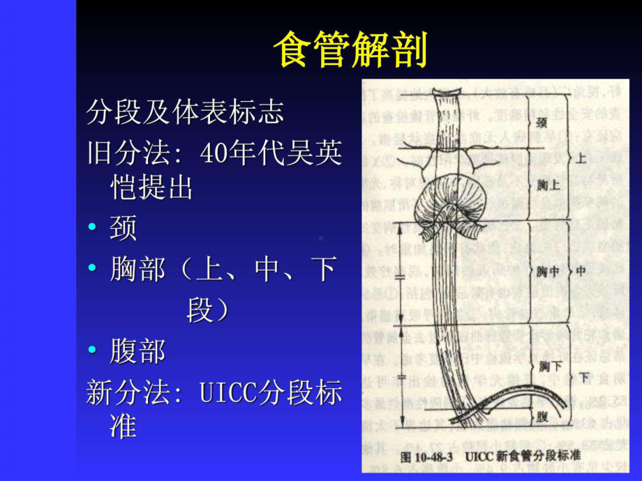 《食管癌术后护理》PPT课件-PPT精选文档.ppt_第3页