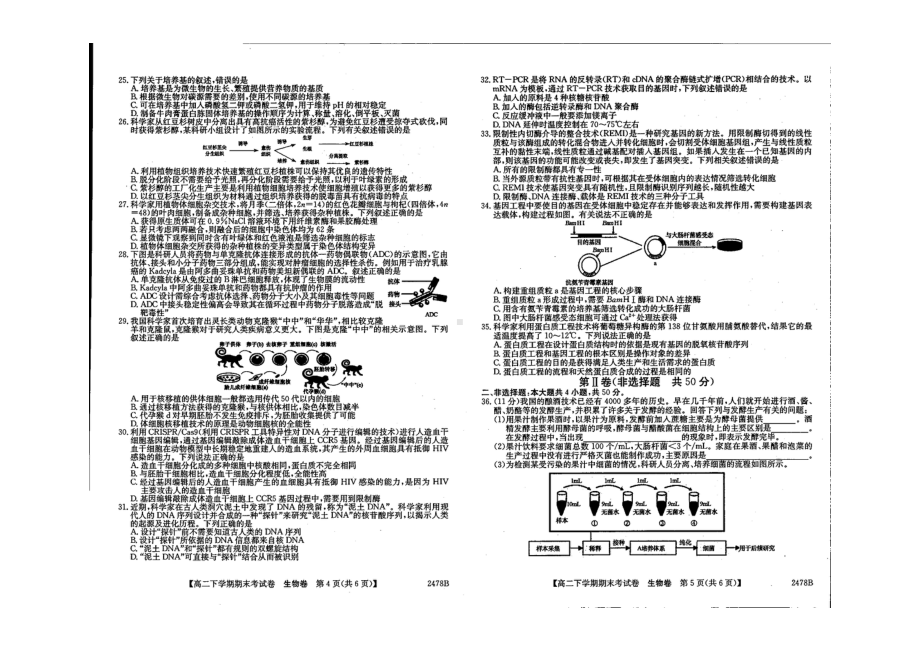 吉林省“BEST合作体” 2021-2022学年高二下学期期末生物试题.pdf_第3页