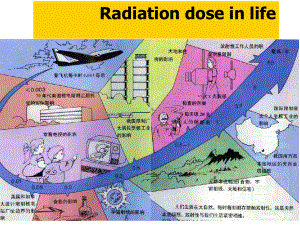 《放射防护标准》PPT课件.ppt