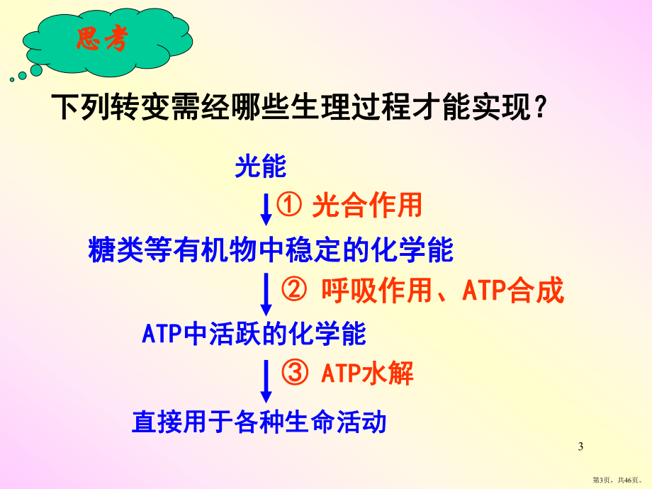 捕获光能的色素和结构PPT演示课件(PPT 46页).pptx_第3页