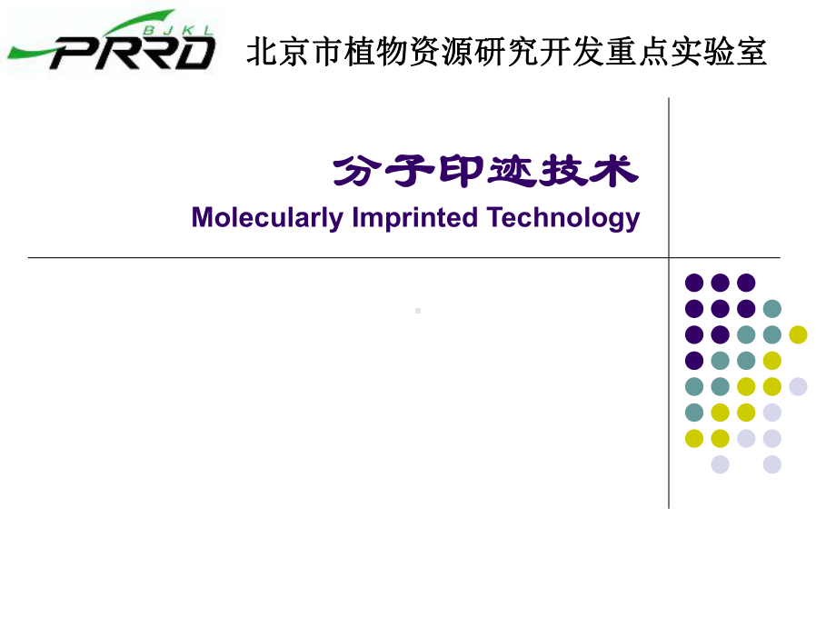 分子印迹技术-PPT课件.ppt_第1页