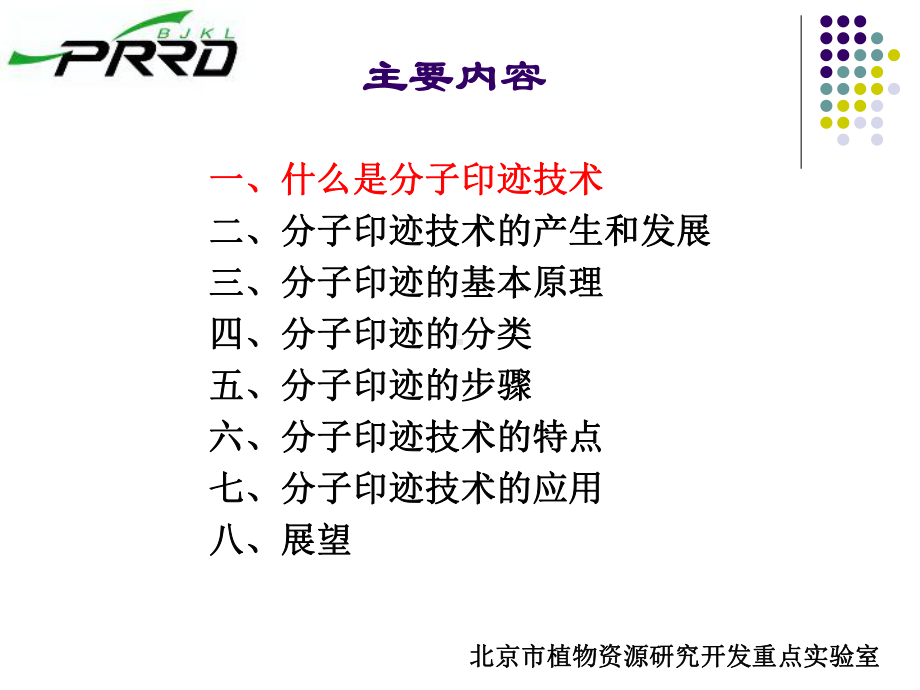 分子印迹技术-PPT课件.ppt_第2页