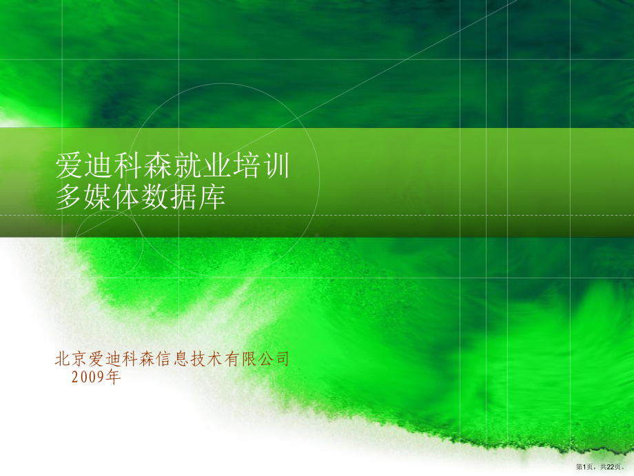 爱迪科森就业培训(共22张)(PPT 22页).ppt_第1页