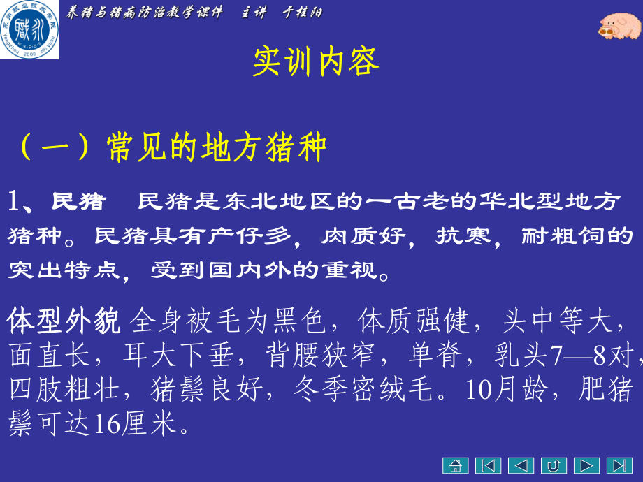 养猪与猪病防治教学课件.ppt_第3页