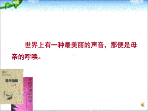 《秋天的怀念》ppt课件(23)全面版.ppt