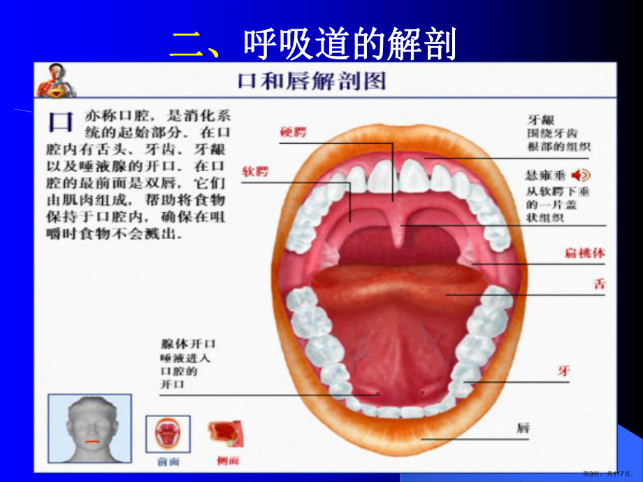 气管插管技术PPT课件(PPT 117页).pptx_第3页