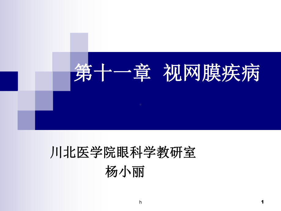 《视网膜病》PPT课件.ppt_第1页