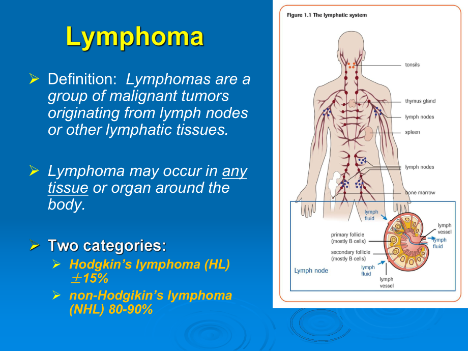 （内科PPT课件）-淋巴瘤.ppt_第3页