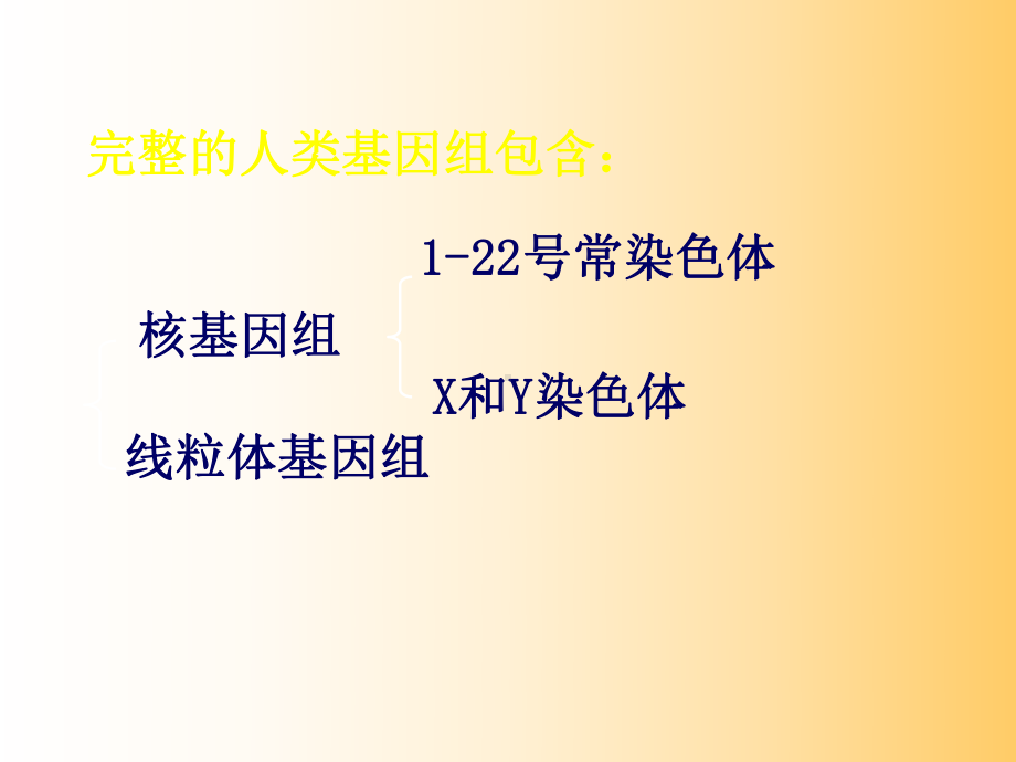 人类基因组学与基因组计划ppt课件.ppt_第3页