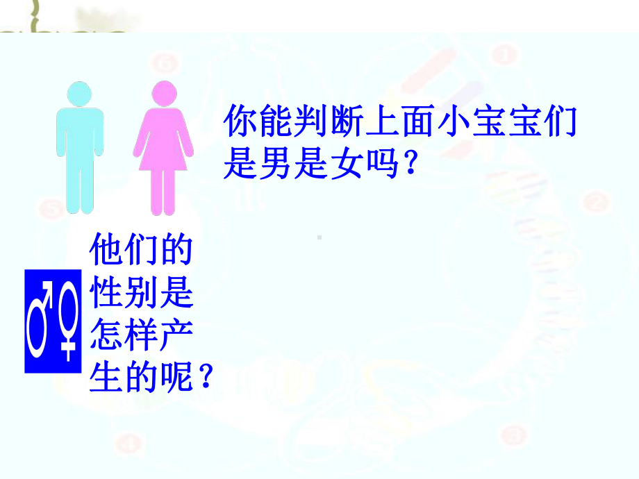 人的性别遗传-课件.ppt_第3页