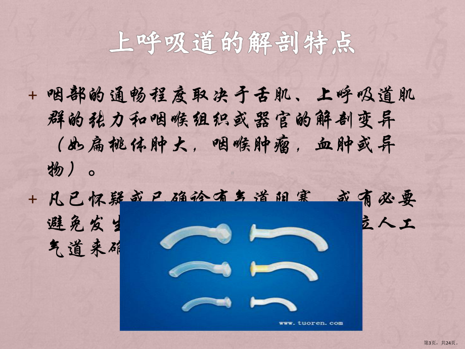 口咽通气管的使用课件(PPT 24页).pptx_第3页