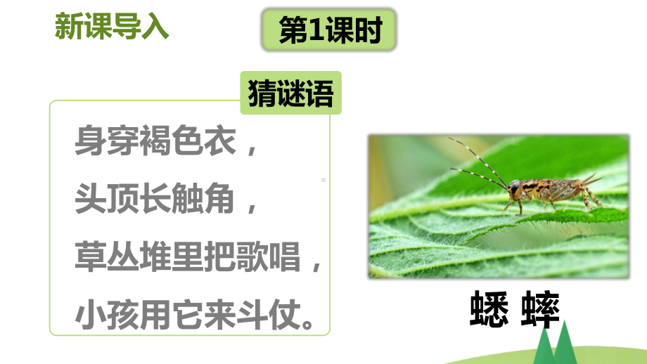 部编版三年级上语文10《在牛肚子里旅行》优质课堂教学课件.pptx_第3页