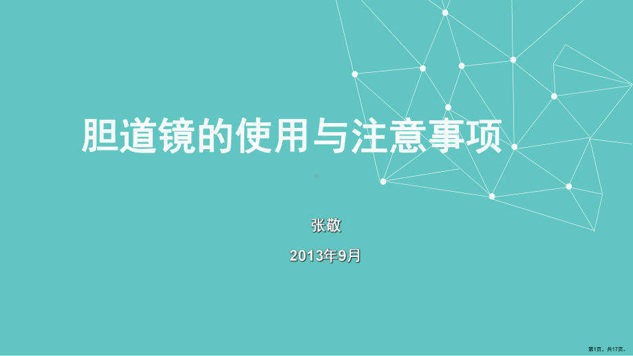 胆道镜的使用与注意事项课件(PPT 17页).pptx_第1页