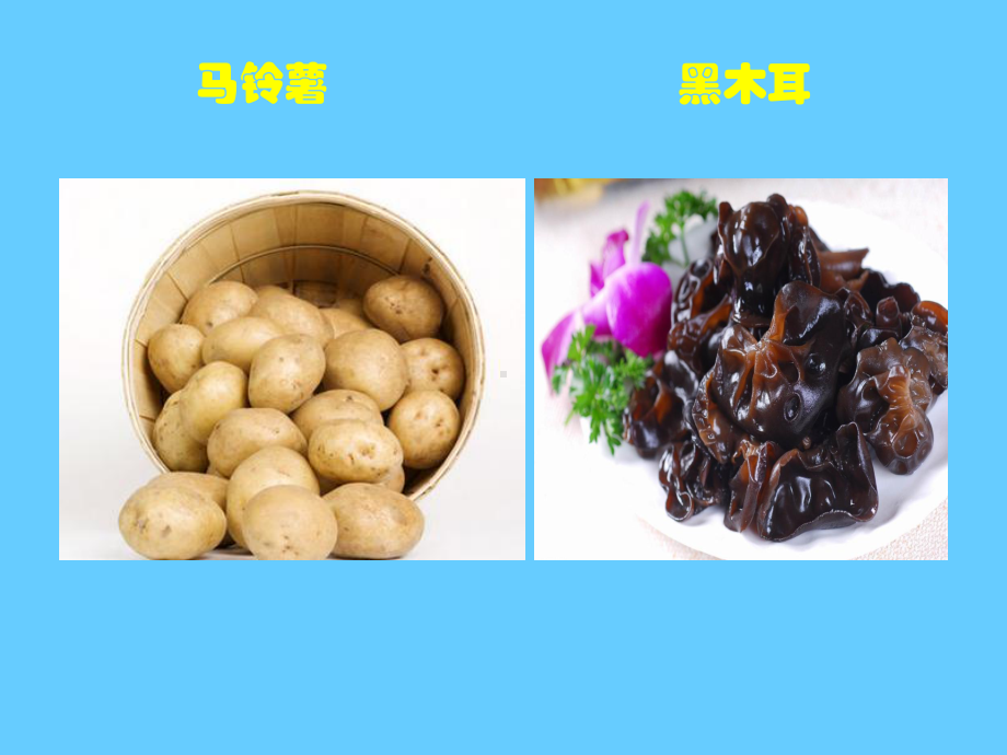 健心养生食谱课件.ppt_第3页