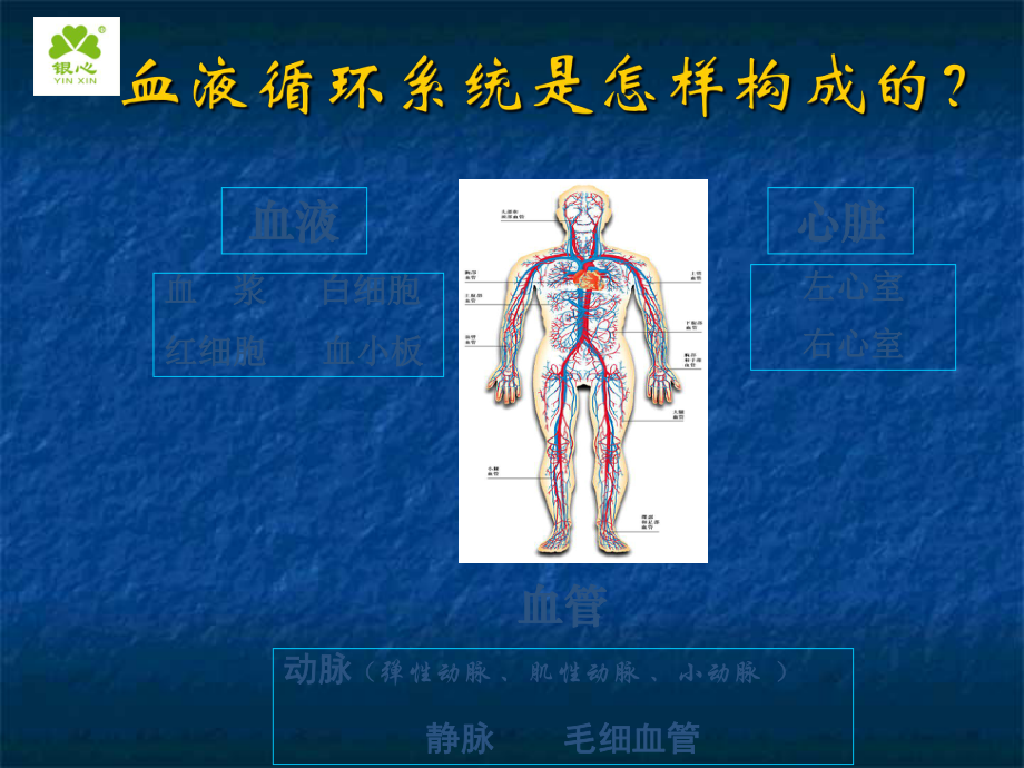 健康讲座动脉血管粥样硬化课件.ppt_第3页