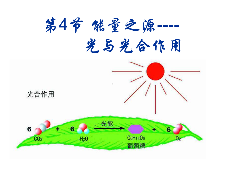 光合作用课件(同名12).ppt_第1页