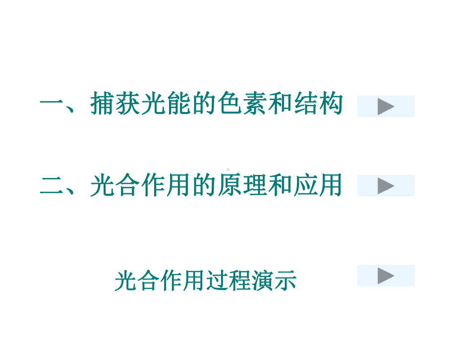 光合作用课件(同名12).ppt_第3页