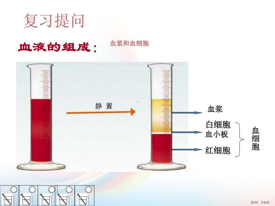 血细胞-红细胞课件(PPT 22页).pptx_第2页