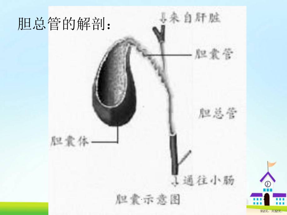 胆总管切开取石T管引流术分享PPT医学课件(PPT 32页).pptx_第2页