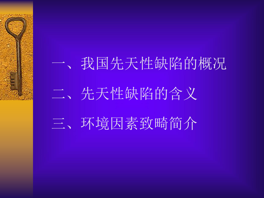 先天性缺陷的致畸因素与预防课件.ppt_第2页