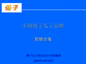 傻子瓜子全案课件.ppt