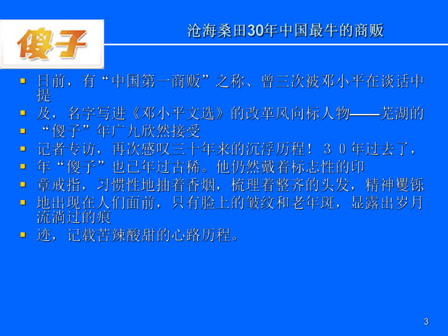 傻子瓜子全案课件.ppt_第3页