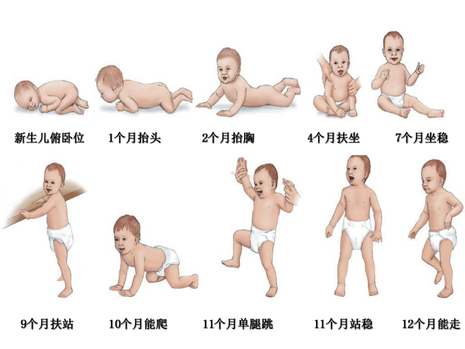 儿科护理学-儿童生长发育课件.ppt_第2页