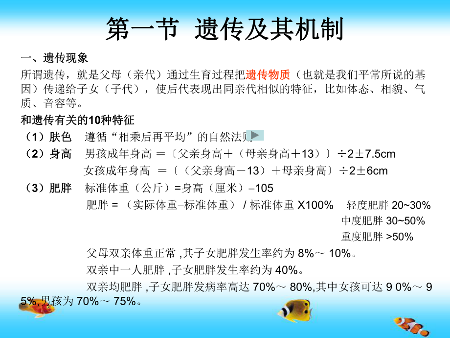 儿童心理发展的生物学基础课件.ppt_第3页