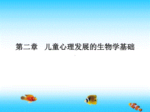 儿童心理发展的生物学基础课件.ppt