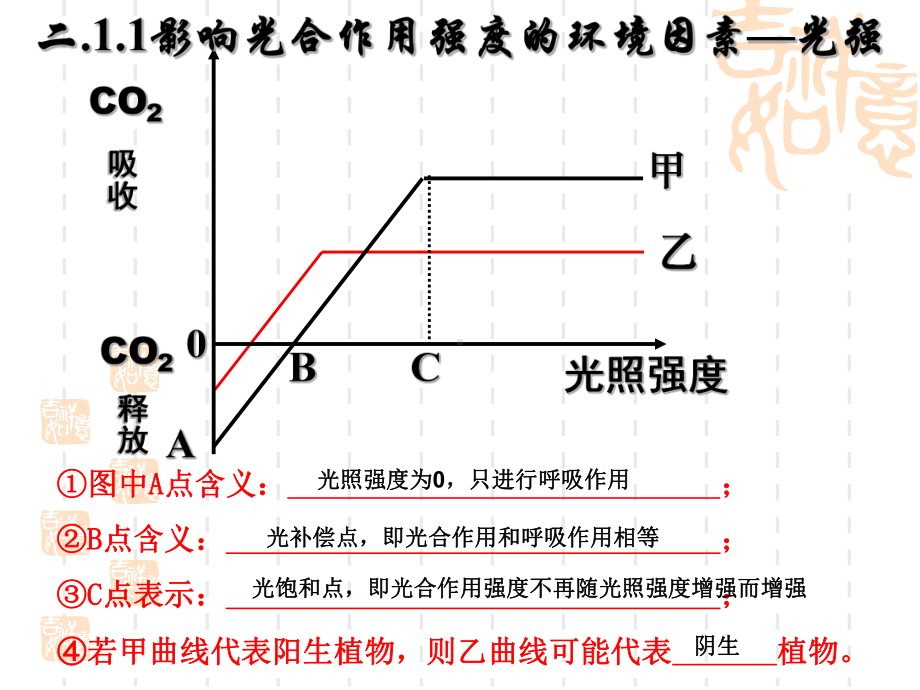 光合作用影响因素分析课件.ppt_第3页