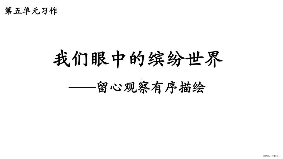 统编版语文三年级上册习作第五单元习作《我眼中的缤纷世界》课件（共38页）(PPT 38页).ppt_第2页