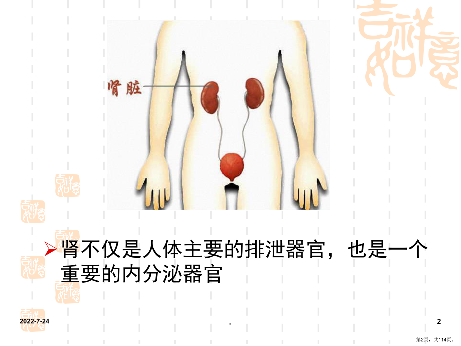 肾病综合征(教学修改版)(课堂PPT)课件(PPT 114页).pptx_第2页