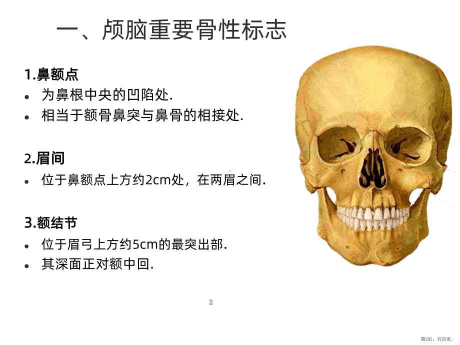 神经外科手术入路设计头皮颅骨解剖知识（最终版）PPT课件(PPT 52页).pptx_第2页