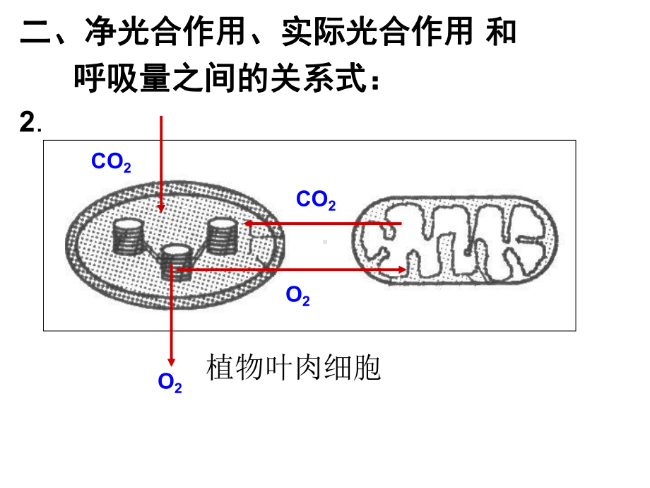 光合作用计算题课件.ppt_第3页