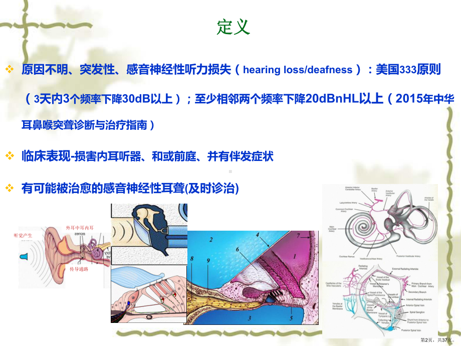 突发性耳聋的诊疗进展及指南解读课件(PPT 37页).pptx_第2页