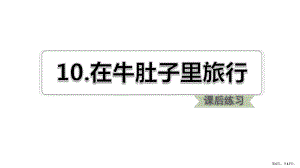 部编版三年级上册语文 10. 在牛肚子里旅行 练习ppt(PPT 17页).pptx