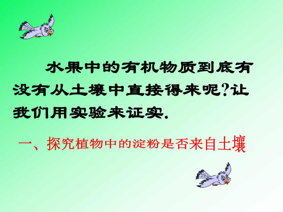 光合作用1-(浙教版)课件.ppt_第3页