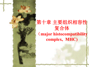 免疫学第十章MHC新课件.ppt