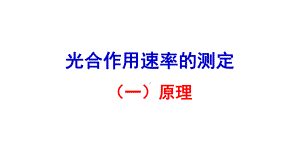 光合速率的测定课件.ppt